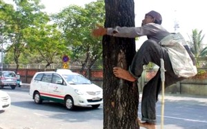 Một ngày của ông lão bán me trên đường phố Sài Gòn