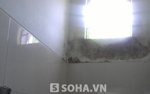 Cán bộ đài truyền hình đặt camera trong nhà vệ sinh nữ