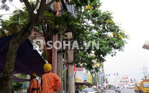 Hà Nội: Nổ trạm điện cao thế, cả khu phố mất điện