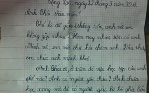 Bức thư của cô bé lớp 3 "đánh gục" cộng đồng mạng Việt