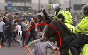 “Cứng” với ngựa cảnh sát, bị phạt tù 1 năm