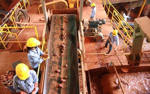 Vinacomin nói gì về hai dự án bauxite Tây Nguyên?