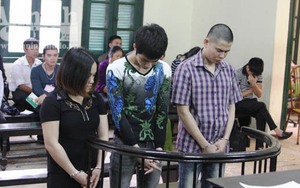 “Tú bà” cùng nhân viên đâm chết khách mua dâm