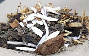 Thầy thuốc chết do ngộ độc thuốc đông y
