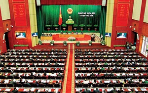 ĐB Quốc hội đề nghị chặn “kẽ hở” trong xuất khẩu khoáng sản