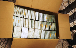 Truy tố ông "trùm" buôn 208 bánh heroin xuyên quốc gia
