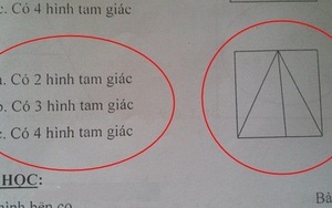 Bài toán lớp 3 đếm số hình tam giác gây tranh cãi