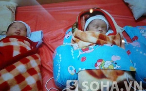 "Hành trình" xác minh cặp song sinh là con của người bố đã mất