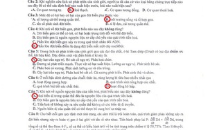 Đáp án đề thi môn Sinh học khối B năm 2013