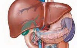 8 món ăn dưỡng gan, giải độc cực tốt mà bạn có thể tự nấu