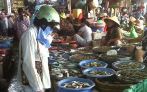 Mực lạ giá 20.000 đồng/kg đột nhiên biến mất