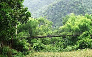 Thái Nguyên: 14 cầu treo trong tình trạng nguy hiểm