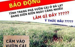 Câu like, đúng - sai mặc kệ?