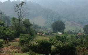 Lâm tặc đánh kiểm lâm nhập viện