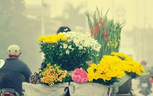 Dự báo thời tiết 20/11: Hà Nội trời đẹp, trên biển cảnh báo sóng lớn