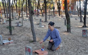"Nghĩa địa cá Ông" rộng hàng ngàn mét vuông