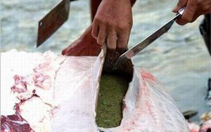 Lạ lùng món... lẩu phân bò Đài Châu
