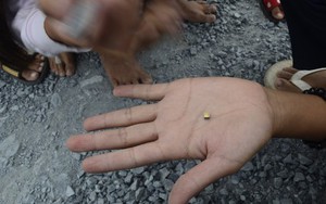 Trà Vinh: Dân đổ ra đường nhặt "vàng"