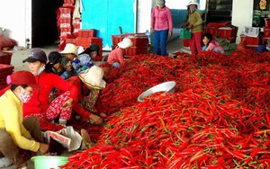 5 lần 7 lượt bị Trung Quốc lừa, bao giờ dân Việt mới "sáng mắt"?