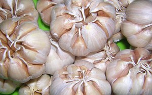 3 sai lầm nghiêm trọng khi dùng tỏi