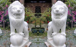 Đặt sư tử đá trước cửa rước họa vào nhà