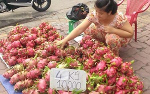 Thanh long ruột đỏ xuống đường, 10.000 đồng/4kg