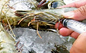 6 loại thủy hải sản "ngậm" nhiều hóa chất độc nhất chợ