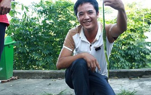 Nghệ An: Cả làng đi bắt đàn rắn cực độc giao nộp xã