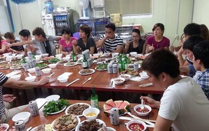 Việt kiều Đức, Hàn Quốc tổ chức "đại tiệc tiết canh" như thế nào?