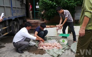 Mật phục thâu đêm bắt hàng tạ chim bồ câu đông lạnh "thối"