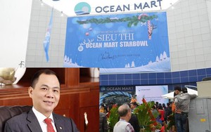 Sau vụ thâu tóm Ocean Mart, Vingroup lại có thêm thay đổi