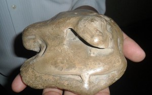 Bộ sưu tập hóa thạch có giá triệu đô ở Kiên Giang?