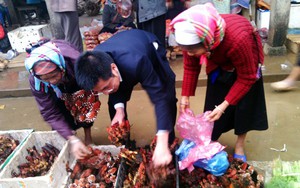 Văn Bàn: Người dân bày bán loại hoa lạ làm thuốc ngâm rượu