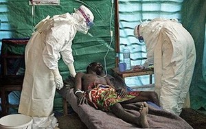 Bệnh nhân nhiễm virus Ebola đầu tiên xuất viện