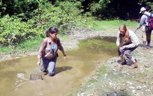 Săn tìm... "hậu duệ khủng long" thời tiền sử