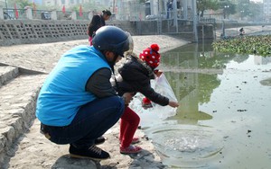 Cá 'lên trời', rác kinh hoàng ở lại