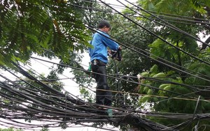 Người đi đường tròn mắt với “người nhện" trên mạng lưới dây điện