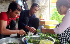 Đuổi cha mẹ ra khỏi nhà, Hào Anh bị xử phạt hành chính