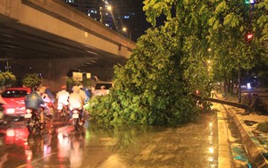 Chùm ảnh: Hà Nội “tơi tả” trong cơn mưa giông lớn bất ngờ