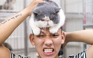 4 bạn trẻ sở hữu đàn chó, mèo trị giá tiền tỷ