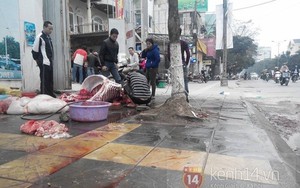 Rùng mình với cảnh mổ xẻ thịt trâu ngay trên vỉa hè Hà Nội