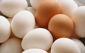 Những loại thực phẩm chống béo bụng
