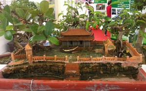 Cổng làng cổ Đường Lâm thành tác phẩm bon-sai nghệ thuật