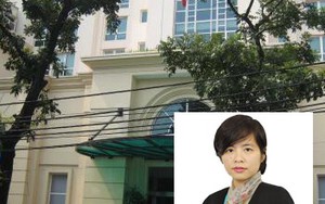 Nữ tướng xinh đẹp của Tập đoàn Bảo Việt chính thức từ nhiệm