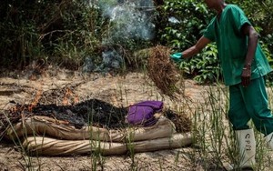 Hình ảnh đáng sợ: Hành trình virus Ebola phá hủy cơ thể con người