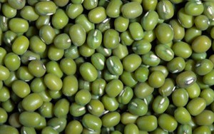 Đậu xanh: Vị thuốc giải được trăm thứ độc
