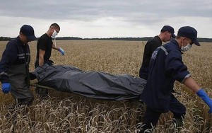 Hai máy bay khác thoát hiểm trong gang tấc khi MH17 bị bắn rơi