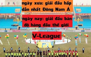 V-League - giải đấu bán độ hàng đầu thế giới!