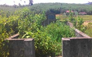 Nghĩa địa bị đem bán, dân chôn người chết trong vườn nhà