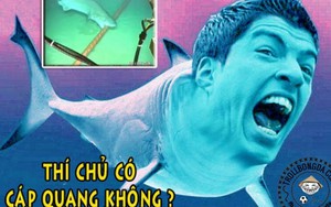 Suarez bị phát hiện là thủ phạm cắn đứt cáp quang